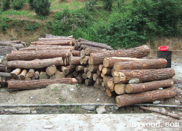 批木网 anywood.com