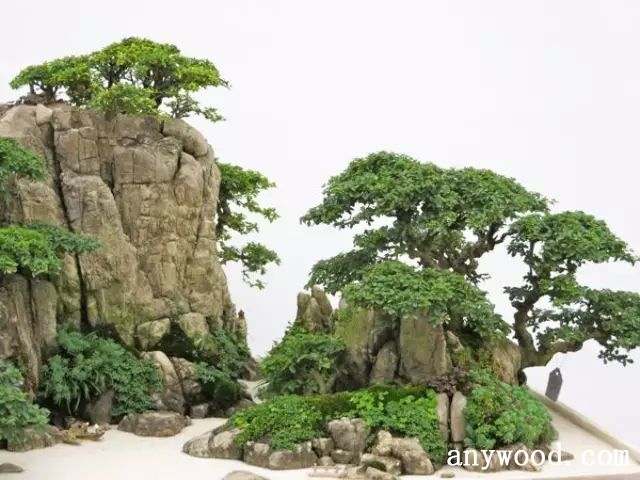 批木网 anywood.com
