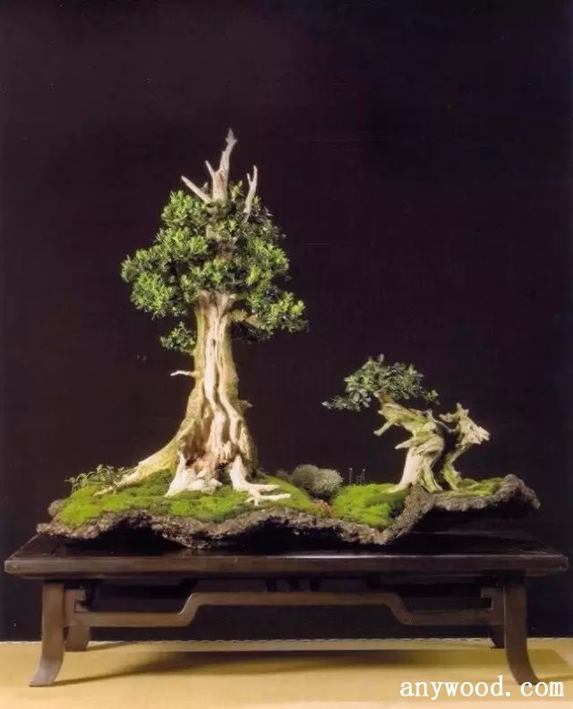 批木网 anywood.com