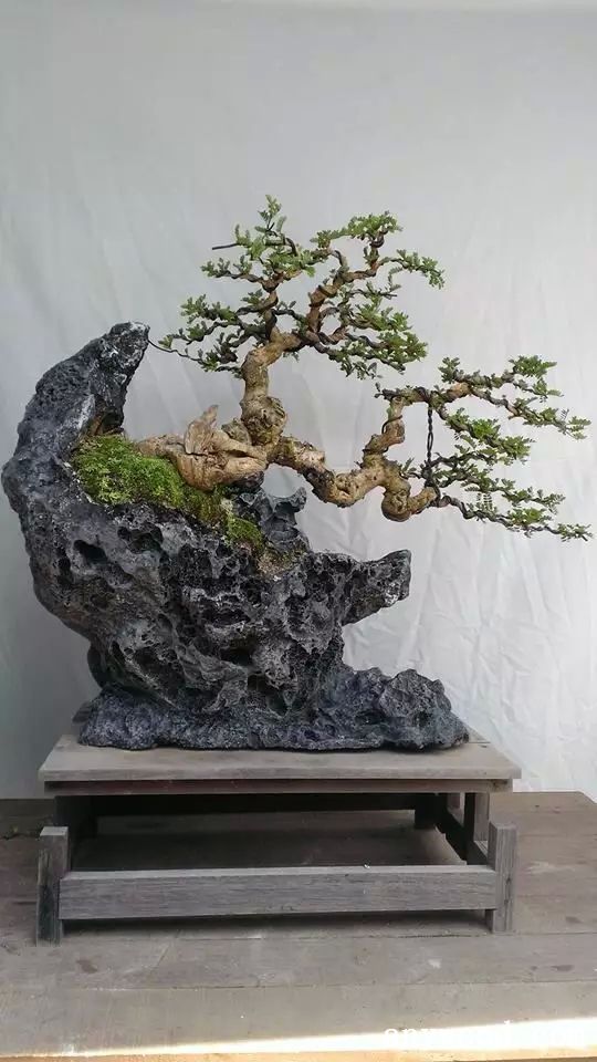 批木网 anywood.com