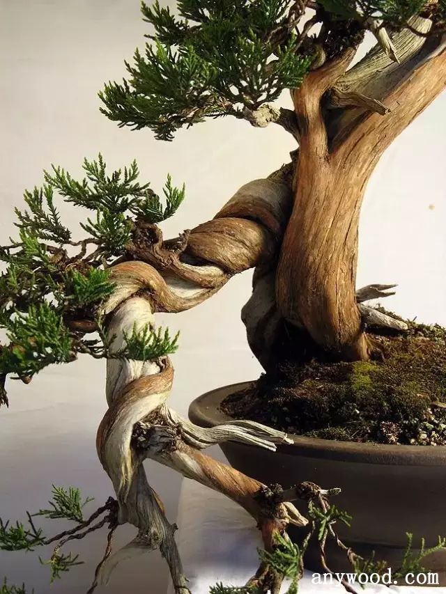 批木网 anywood.com