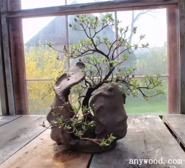 批木网 anywood.com