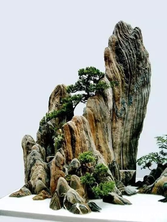 批木网 anywood.com