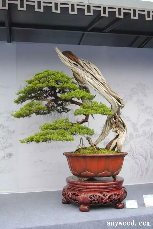 批木网 anywood.com