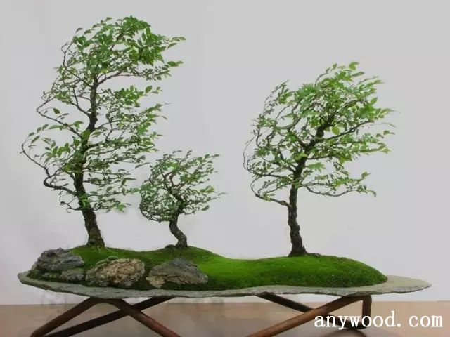 批木网 anywood.com