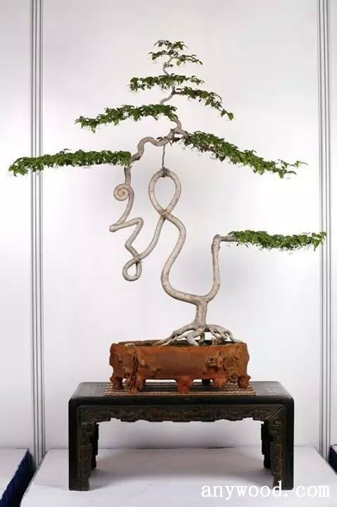 批木网 anywood.com