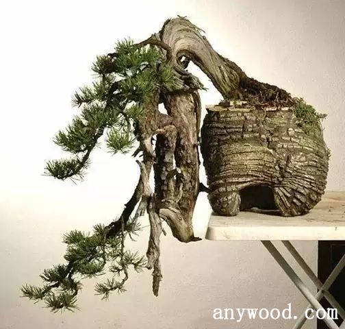 批木网 anywood.com