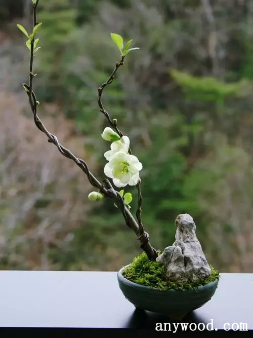 批木网 anywood.com