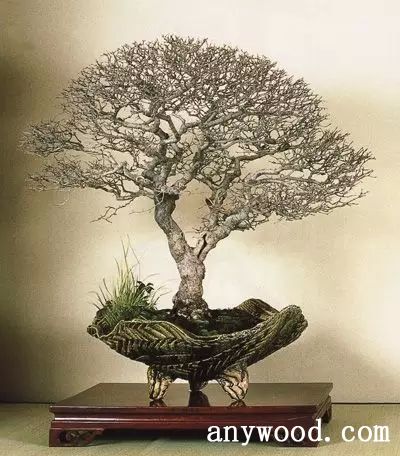 批木网 anywood.com