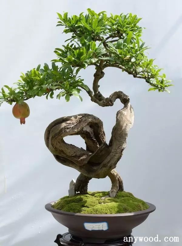 批木网 anywood.com