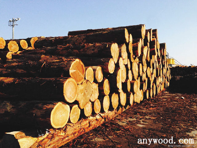批木网 anywood.com