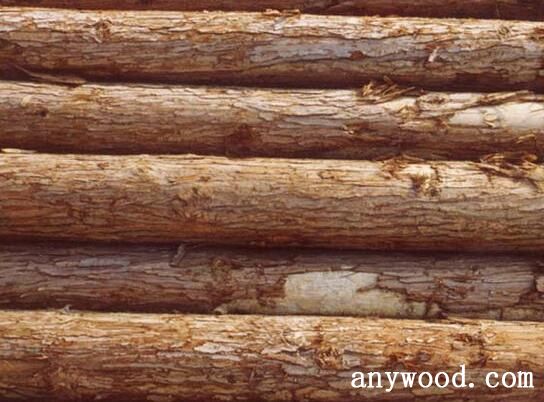 【批木网】anywood.com