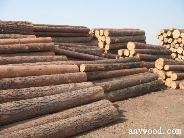 批木网 anywood.com