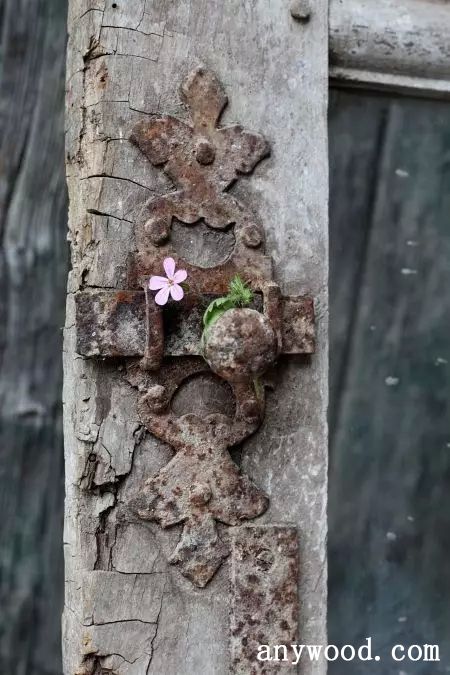 批木网 anywood.com