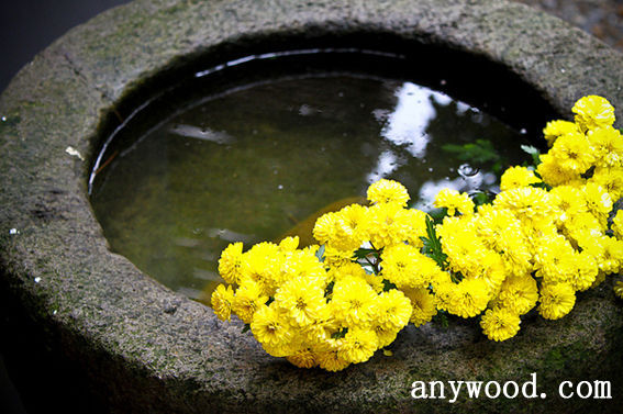 批木网 anywood.com