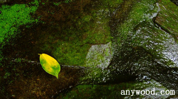 批木网 anywood.com