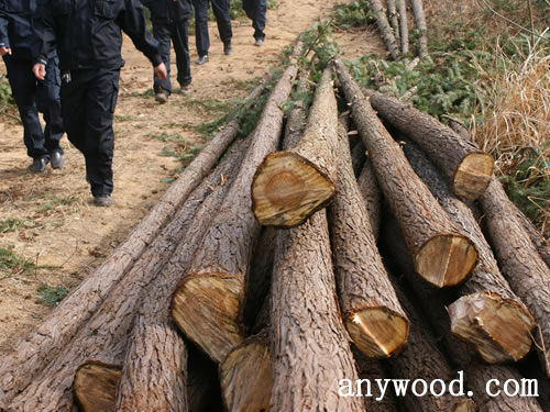 批木网 anywood.com