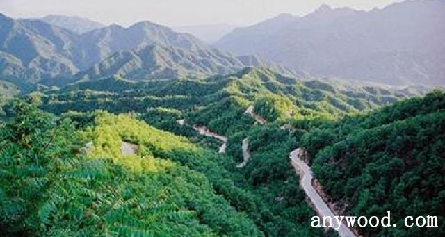 批木网 anywood.com