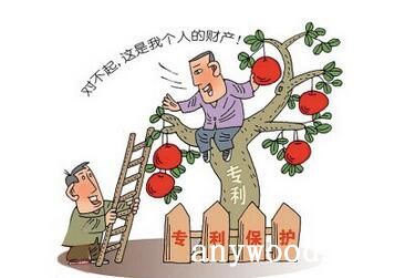 林业知识产权保护