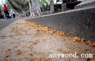 批木网 anywood.com