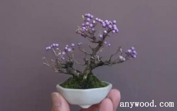 批木网 anywood.com