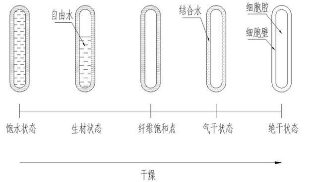 木材中的水分