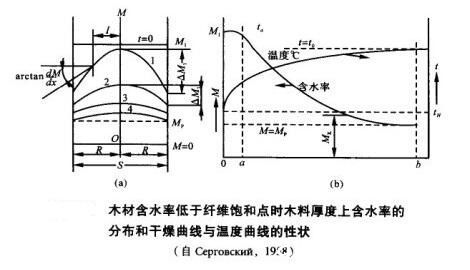 木材中的水分