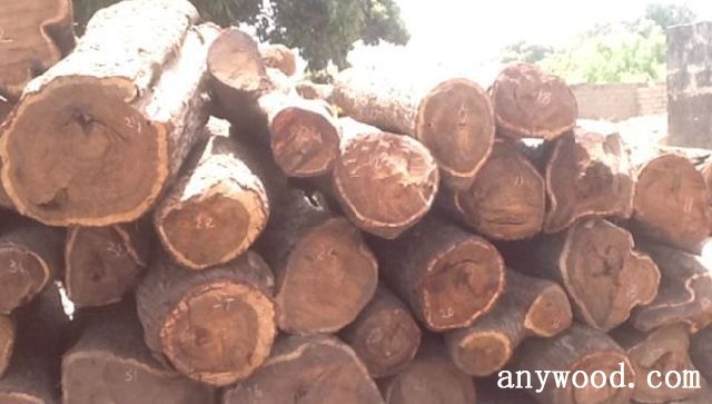 批木网 anywood.com