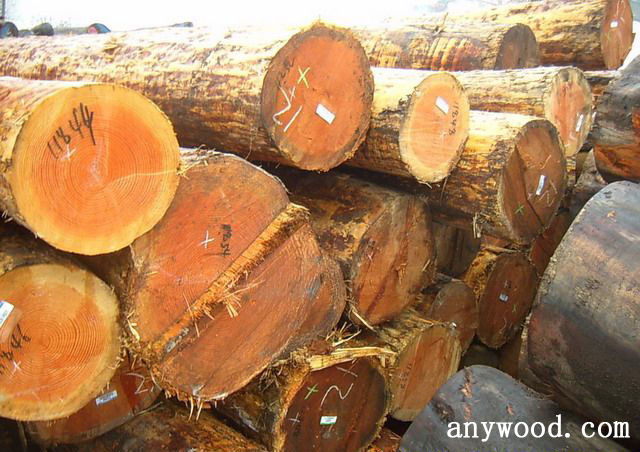 批木网 anywood.com