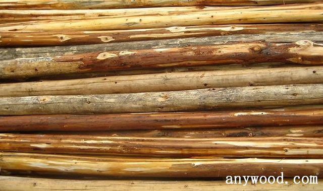 批木网 anywood.com