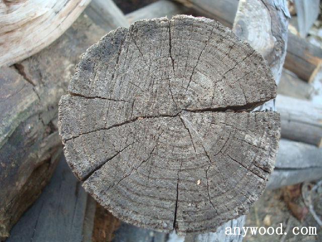 批木网 anywood.com