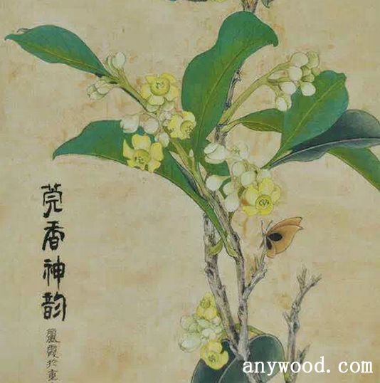 批木网 anywood.com