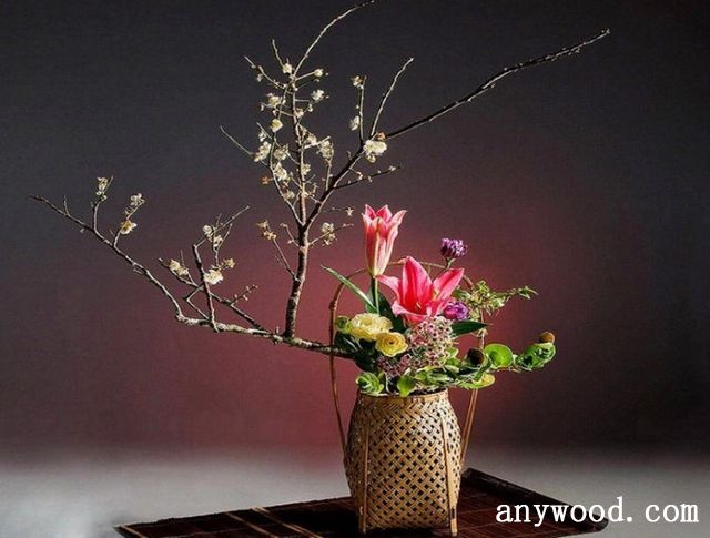 批木网 anywood.com