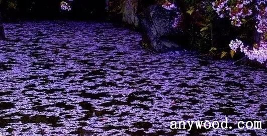 飞花逐水流