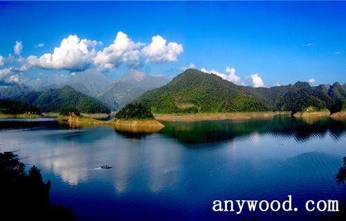 批木网 anywood.com