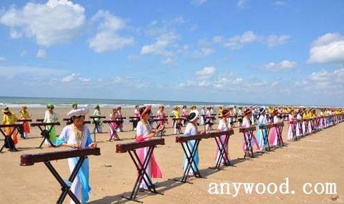 批木网 anywood.com