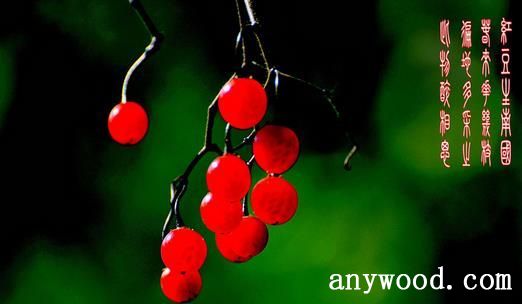 批木网 anywood.com
