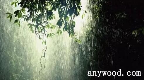 下雨天