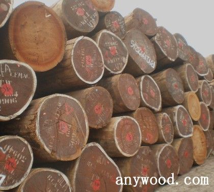 批木网 anywood.com