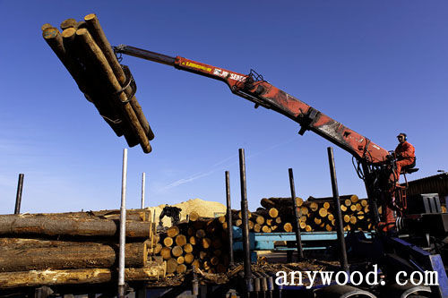 批木网 anywood.com