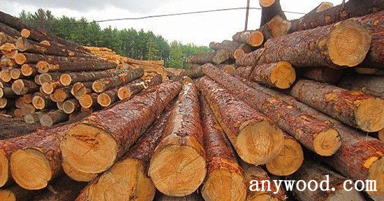 批木网 anywood.com