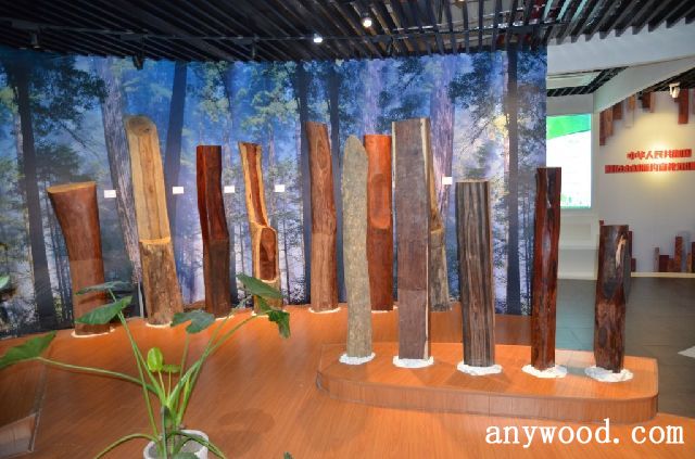 批木网 anywood.com