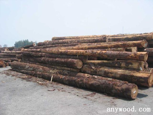 批木网 anywood.com