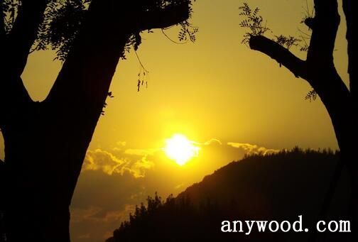 【批木网】anywood.com