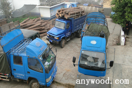 批木网 anywood.com