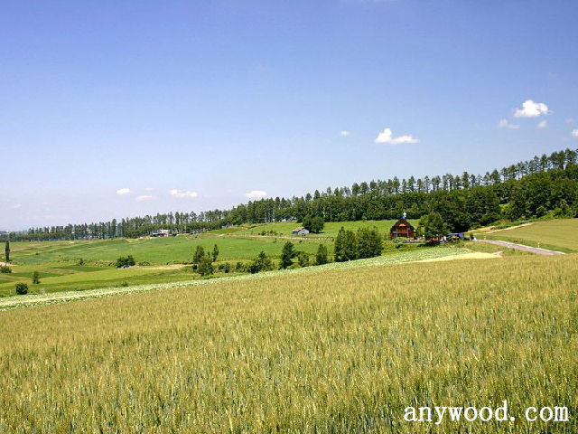 批木网 anywood.com