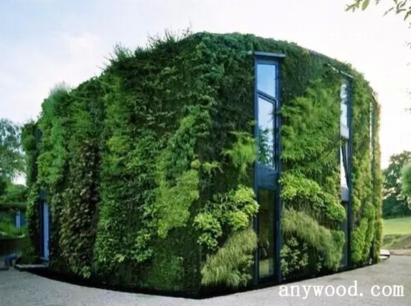 批木网 anywood.com