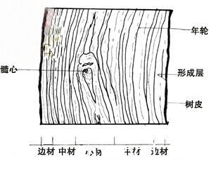 批木网 anywood.com