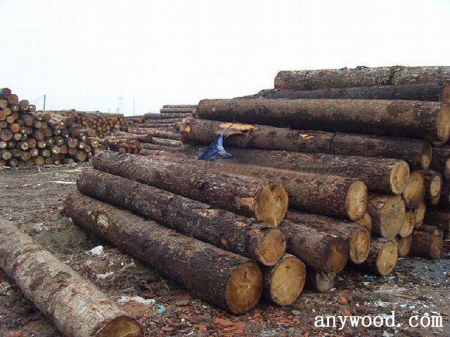 批木网 anywood.com