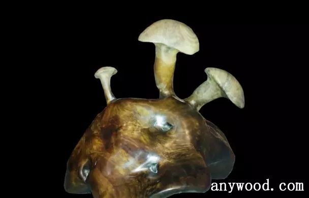 批木网 anywood.com